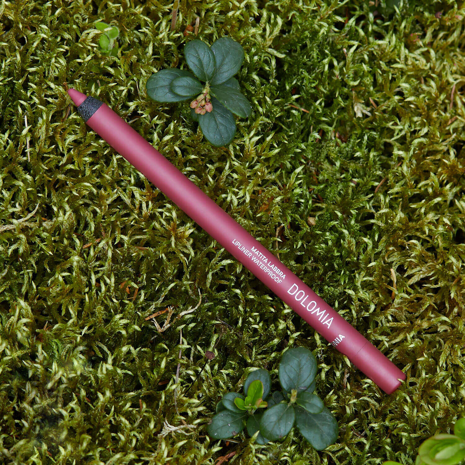 Miniatura 10